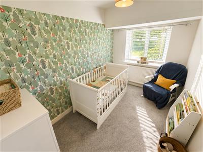Picture 13